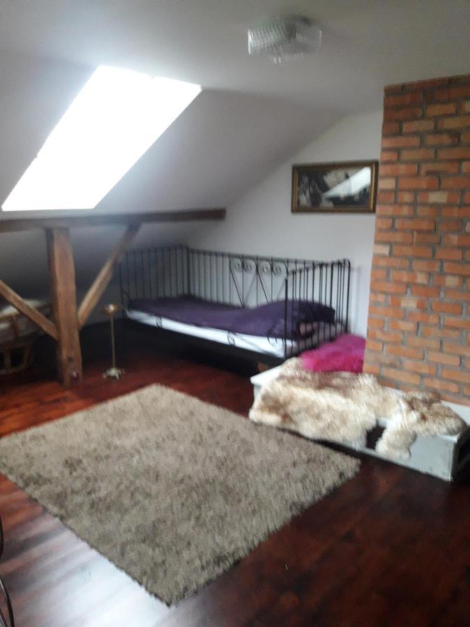 Farma Aktywnego Wypoczynku Dagaspa Repki Exterior photo